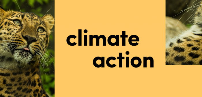 TikTok Launches TikTok #ClimateAction Campaign To Drive Awareness On Climate Action